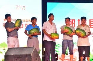 广场吃瓜比赛视频大全集,全民狂欢的视觉盛宴