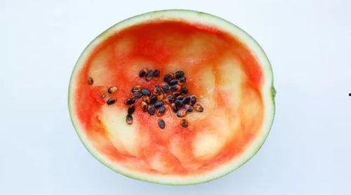 从哪吃瓜有原视频,揭秘“从哪吃瓜”原视频背后的故事