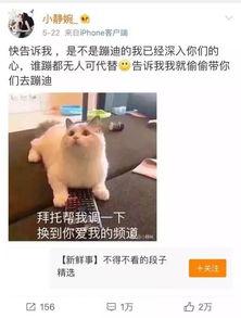 抖音吃瓜群众最新视频,最新热门事件幕后真相大曝光！