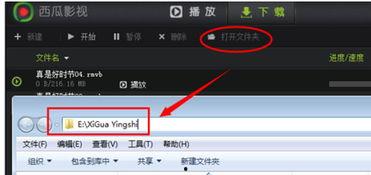 吃瓜现场音乐视频下载安装,下载安装攻略与精彩内容抢先看