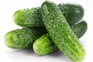 一丝凉爽吃瓜视频大全免费观看,免费观看一丝凉爽吃瓜视频大全 一丝凉爽吃瓜视频大全免费观看,免费观看一丝凉爽吃瓜视频大全