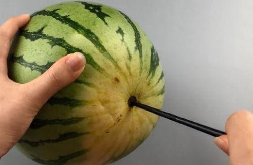 筷子吃瓜视频,解锁夏日美食新姿势 筷子吃瓜视频,解锁夏日美食新姿势