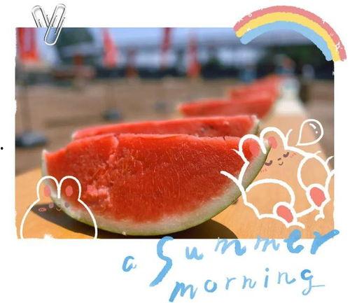 情人节现场吃瓜视频,甜蜜瓜语,见证爱意瞬间 情人节现场吃瓜视频,甜蜜瓜语,见证爱意瞬间