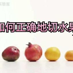 吃蒲瓜用削皮吗视频,蒲瓜食用前的削皮技巧揭秘