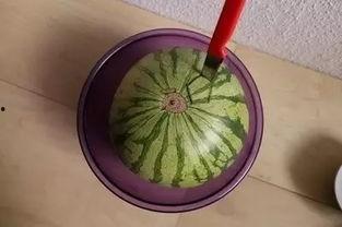 歪瓜怎么吃视频,解锁美味新境界