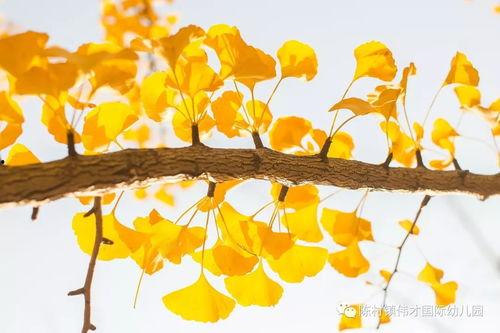 立秋幼儿园吃瓜创意视频