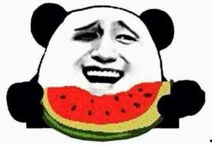 龙哥吃瓜群众是真的吗视频,真相与谣言的较量